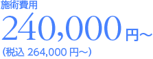 킫EǎpF{pp240,000~iō264,000~j`